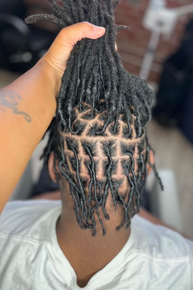 Starter locs on the undercut 