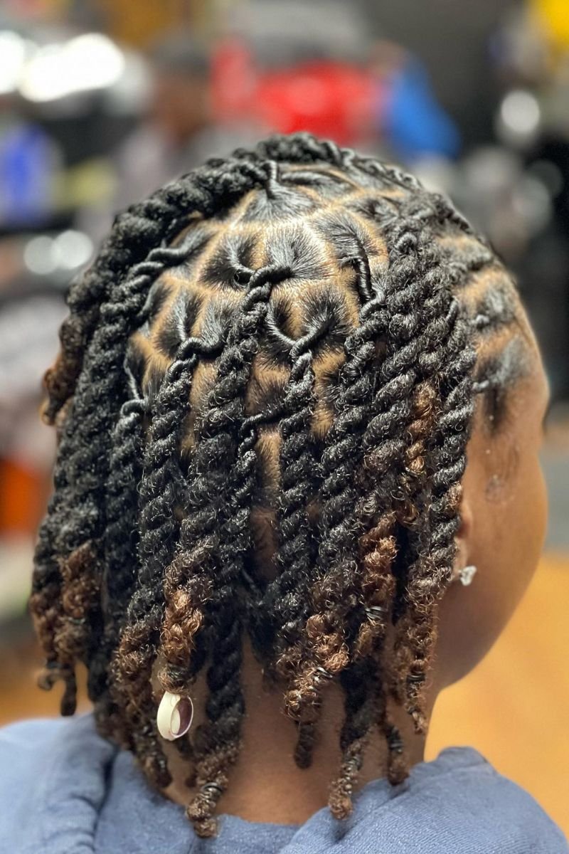 two-strand twist starter locs